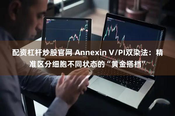 配资杠杆炒股官网 Annexin V/PI双染法：精准区分细胞不同状态的“黄金搭档”