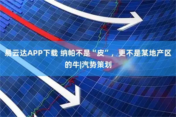 易云达APP下载 纳帕不是“皮”,更不是某地产区的牛|汽势策划
