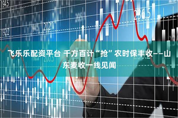 飞乐乐配资平台 千方百计“抢”农时保丰收——山东麦收一线见闻