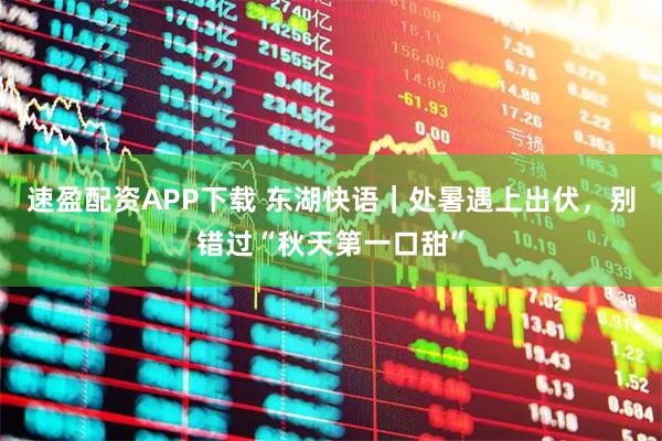 速盈配资APP下载 东湖快语｜处暑遇上出伏，别错过“秋天第一口甜”